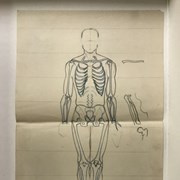 Cover image of Untitled